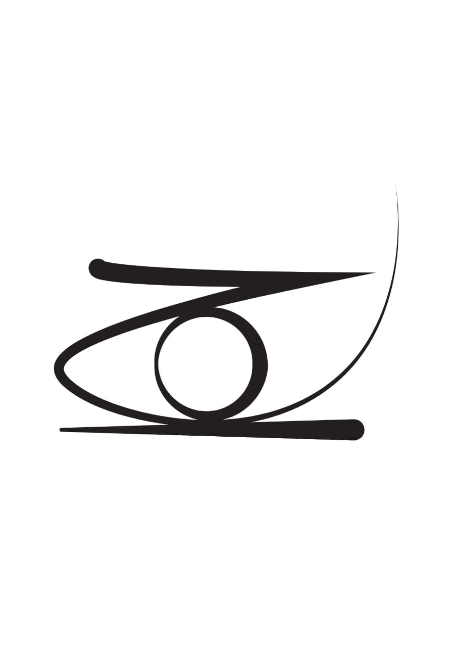 ZO – technology partner of Bynarii